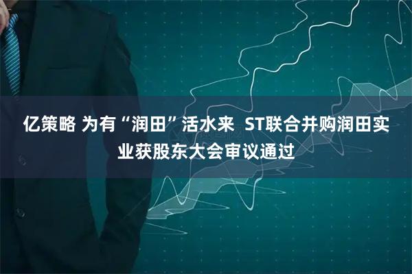 亿策略 为有“润田”活水来  ST联合并购润田实业获股东大会审议通过
