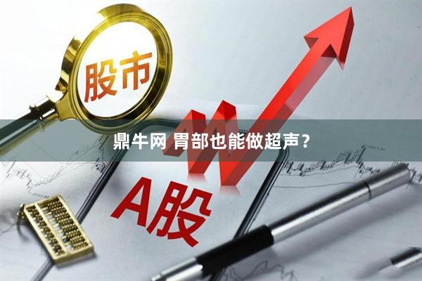 鼎牛网 胃部也能做超声？