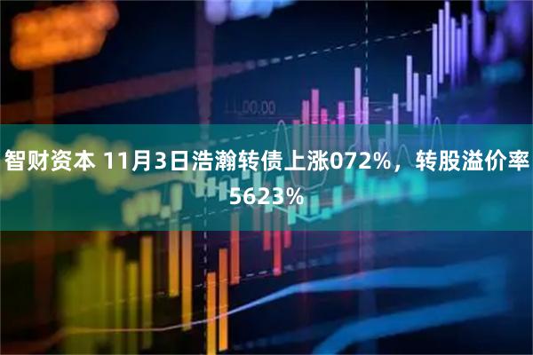 智财资本 11月3日浩瀚转债上涨072%，转股溢价率5623%